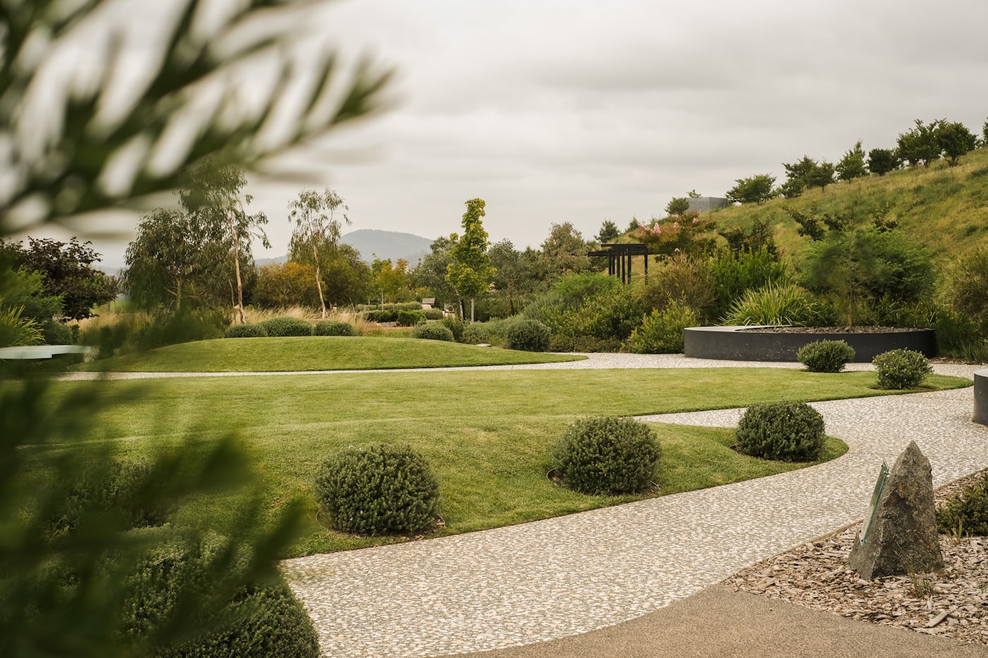 Fresh lawn with landscaped borders and shrubs