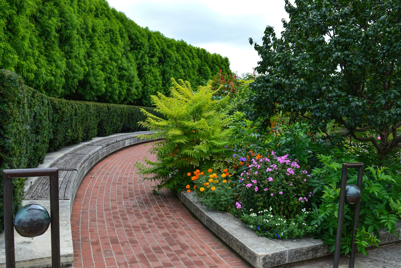 Paved garden path through planted borders